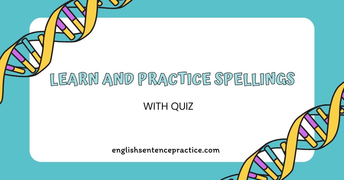 Free English Spelling Online Test